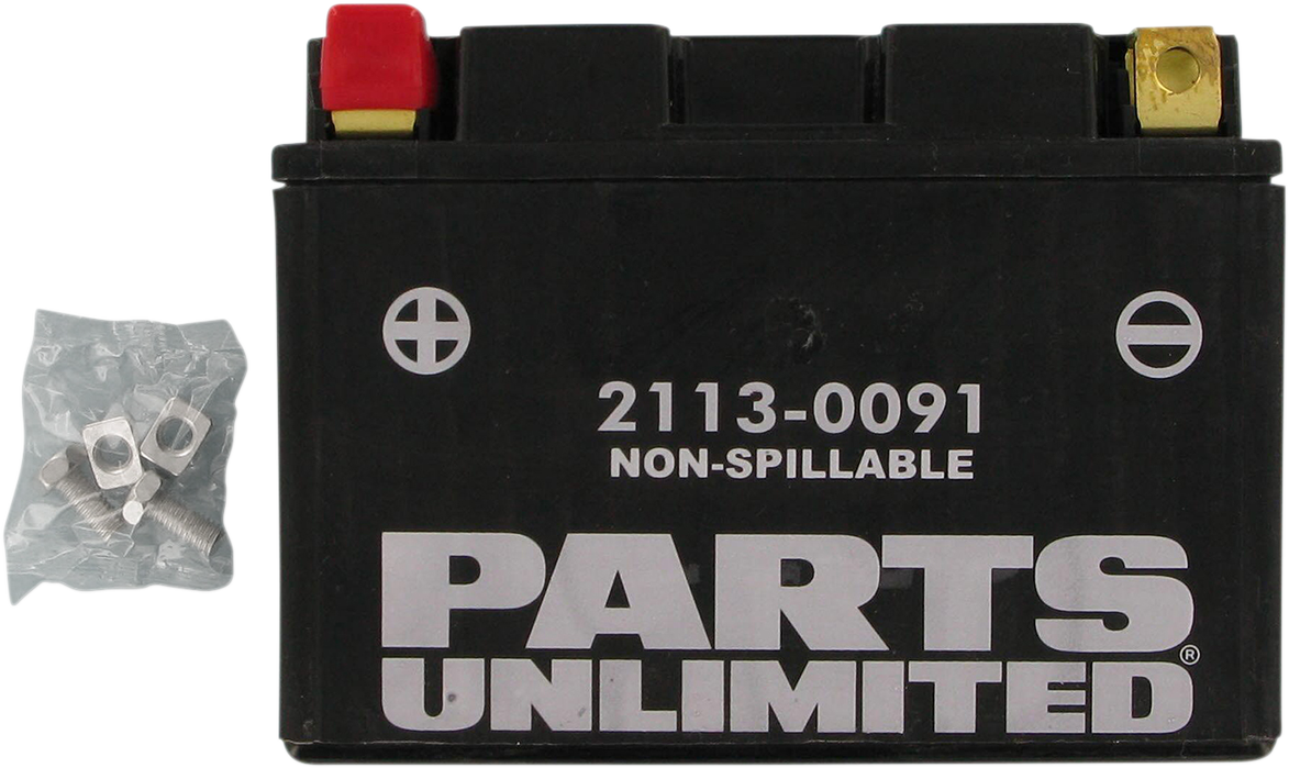 PARTS UNLIMITED AGM Battery - YTZ12S CTZ12S