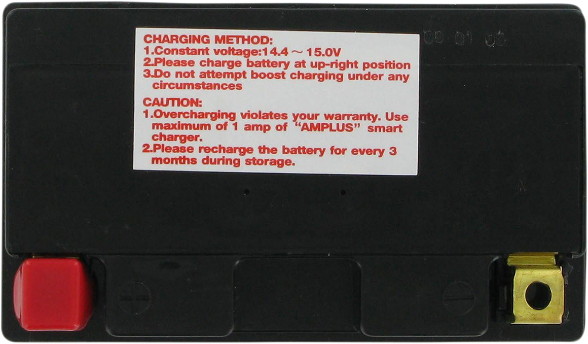 PARTS UNLIMITED AGM Battery - YTZ14S CTZ14S