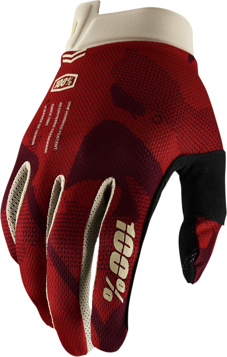 100% iTrack Gloves - Terra