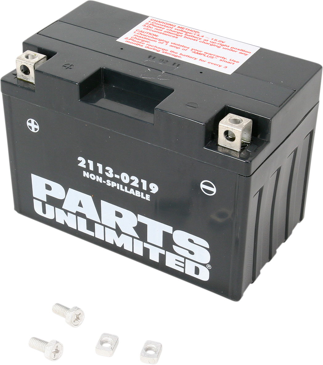 PARTS UNLIMITED AGM Battery - YT12A-BS CT12A-BS