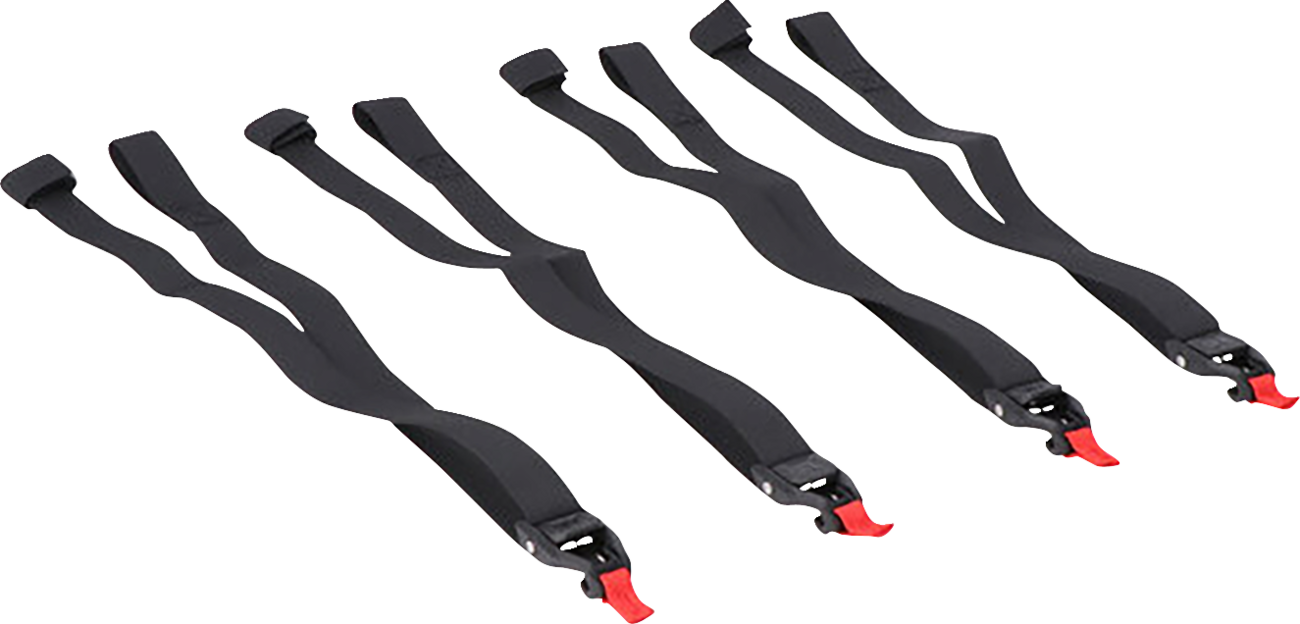 SW-MOTECH PRO Tail Strap Set - 4 Piece BC.ZUB.00.128.30000