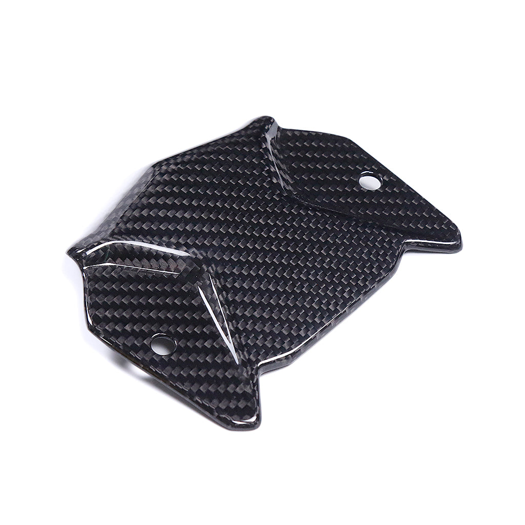 79 Carbon Tech - BMW F900R/XR - Carbon Fiber Front Inner Fairing- Twill/Gloss