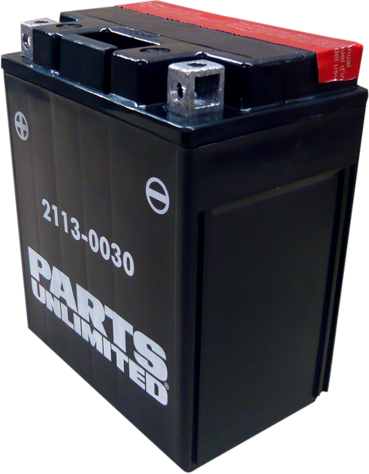 PARTS UNLIMITED AGM Battery - YTX14AHBS .798L CTX14AH-BS