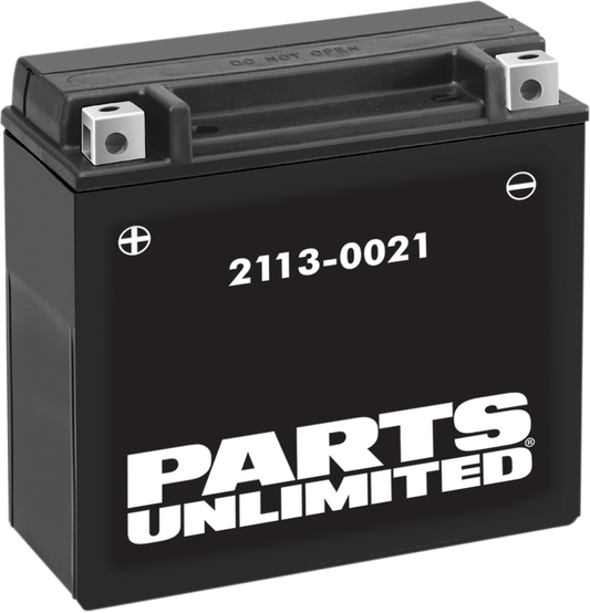 PARTS UNLIMITED AGM Battery - YTX16CLB-BS 1.05 L CTX16CL-BBS