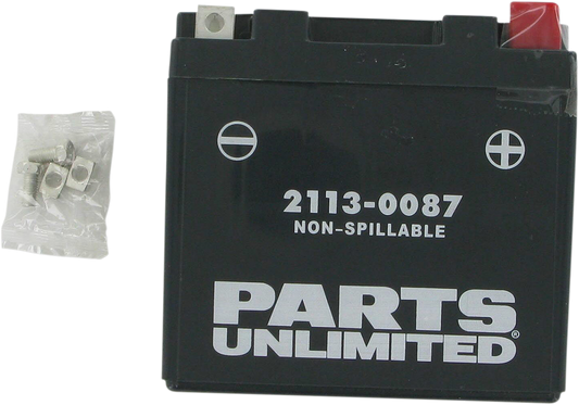 PARTS UNLIMITED AGM Battery - YTZ7S CTZ7S