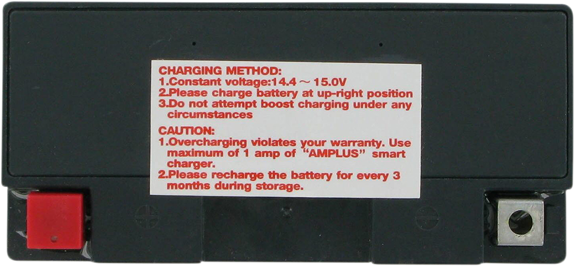 PARTS UNLIMITED AGM Battery - YT9B-4/YT9B-BS CT9B-4