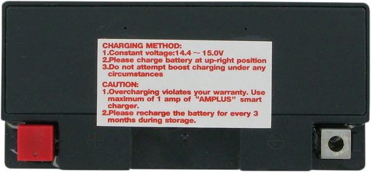 PARTS UNLIMITED AGM Battery - YT9B-4/YT9B-BS CT9B-4