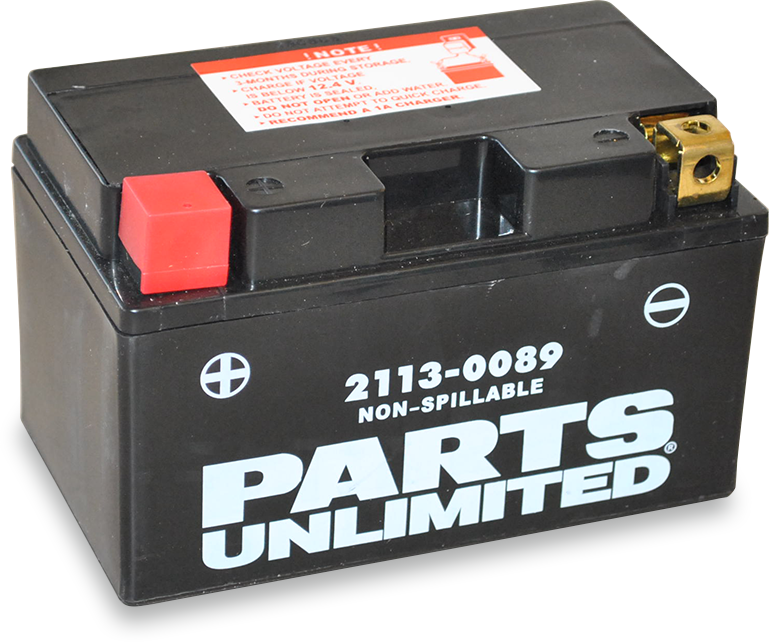 PARTS UNLIMITED AGM Battery - YTZ10S CTZ10S