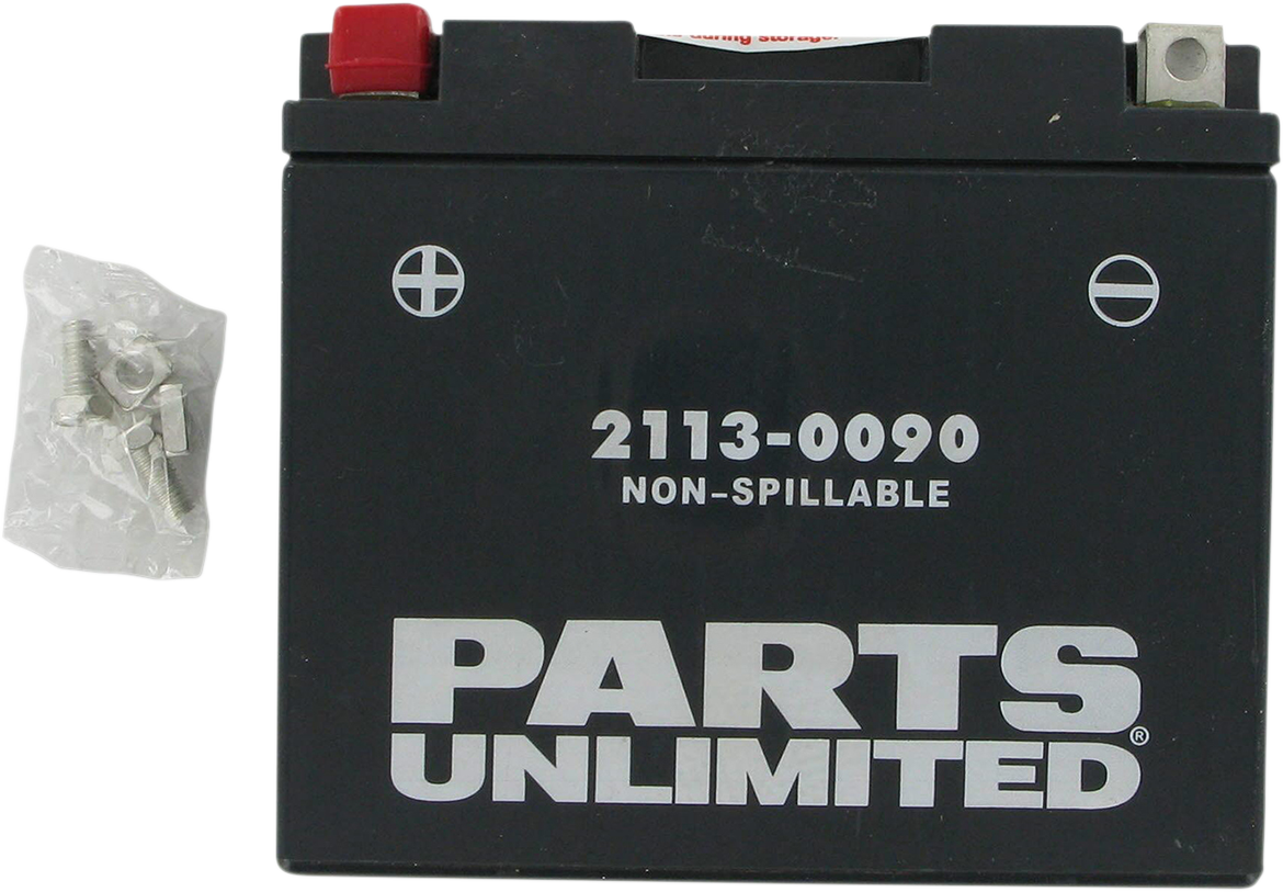 PARTS UNLIMITED AGM Battery - YT12B4/YT12B-BS CT12B4