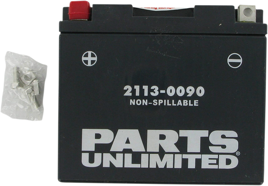 PARTS UNLIMITED AGM Battery - YT12B4/YT12B-BS CT12B4