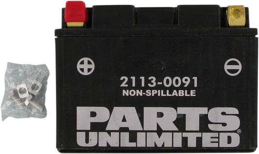 PARTS UNLIMITED AGM Battery - YTZ12S CTZ12S
