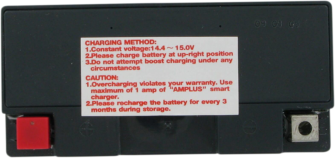 PARTS UNLIMITED AGM Battery - YT14B4 CT14B4