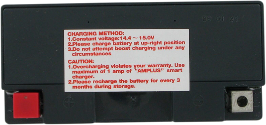 PARTS UNLIMITED AGM Battery - YT14B4 CT14B4