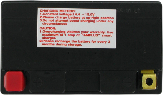 PARTS UNLIMITED AGM Battery - YTZ14S CTZ14S