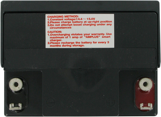 PARTS UNLIMITED AGM Battery - YIX30L CTX30L