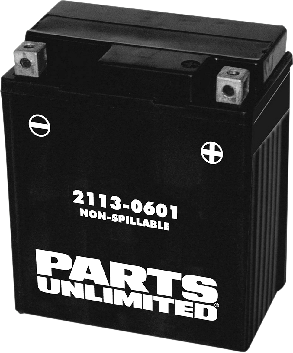 PARTS UNLIMITED AGM Battery - YTZ8V CTZ8V