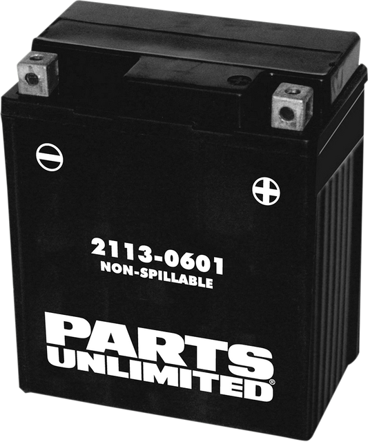 PARTS UNLIMITED AGM Battery - YTZ8V CTZ8V