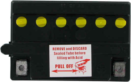 PARTS UNLIMITED Conventional Battery 12N113A1