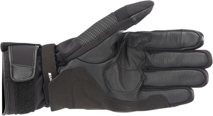 Alpinestars Andes V3 Drystar Gloves - Black - palm