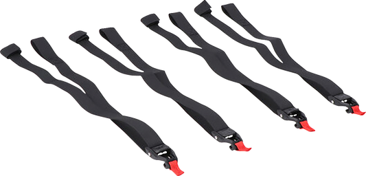 SW-MOTECH PRO Tail Strap Set - 4 Piece BC.ZUB.00.128.30000
