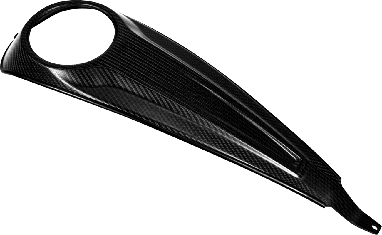SADDLEMEN Dash Panel - Center Fill - Carbon Fiber/Gloss CF-823-07-002
