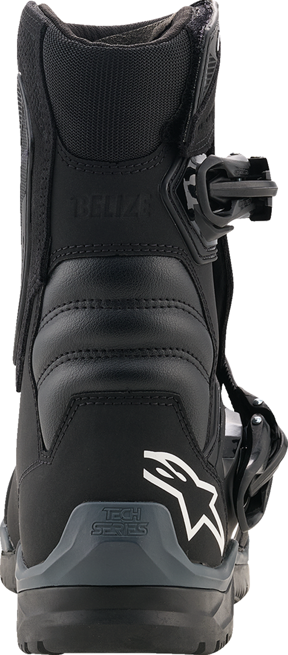 Alpinestars Belize V2 Drystar® Boots - Black