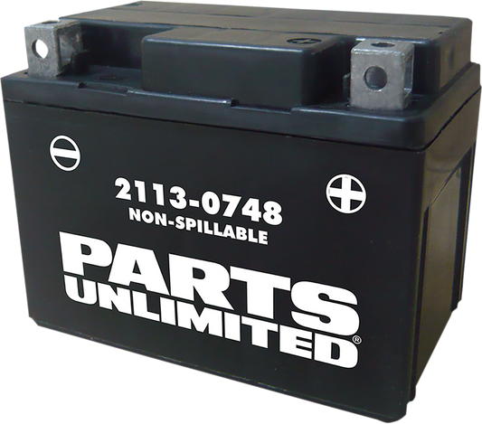 PARTS UNLIMITED AGM Battery - YTX4L CTX4L