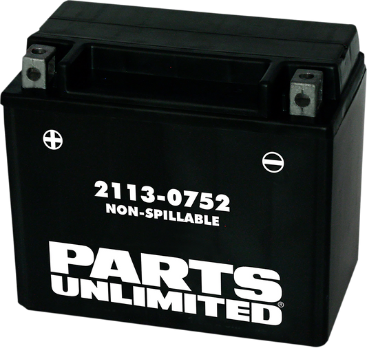 PARTS UNLIMITED AGM Battery - YTX12 CTX12