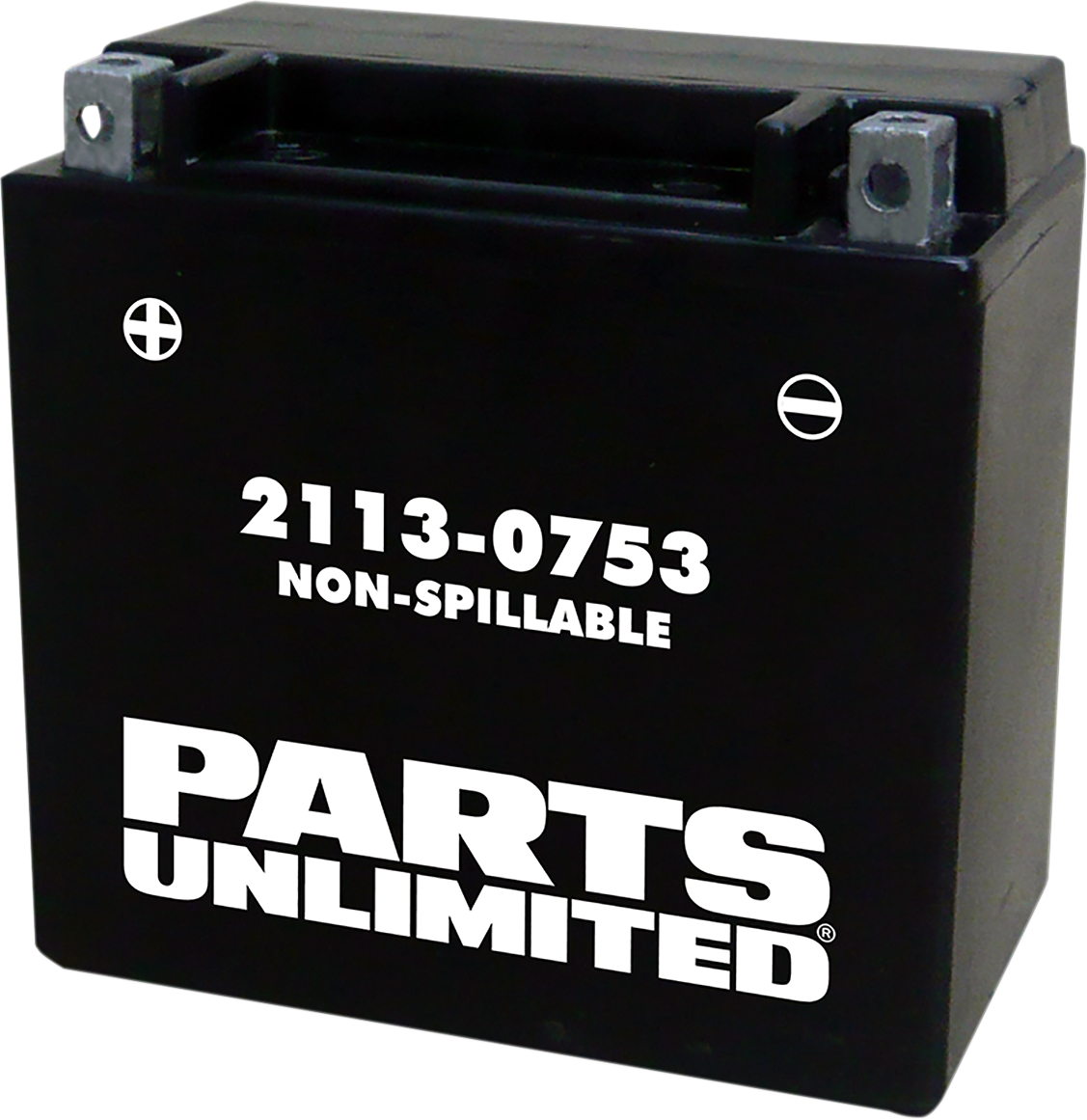 PARTS UNLIMITED AGM Battery - YTX14 CTX14