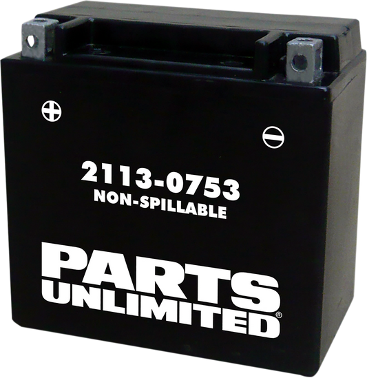 PARTS UNLIMITED AGM Battery - YTX14 CTX14