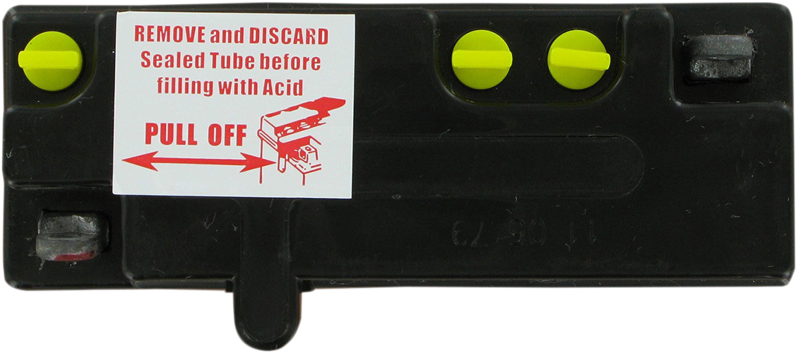 PARTS UNLIMITED Conventional Battery 6N12A-2C(B54-6)