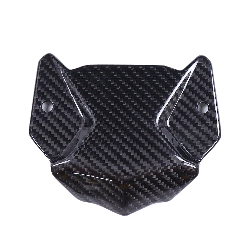 79 Carbon Tech - BMW F900R/XR - Carbon Fiber Front Inner Fairing- Twill/Gloss