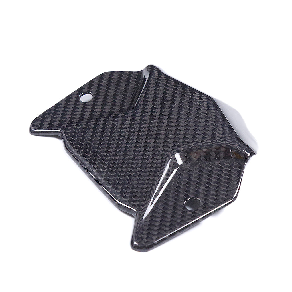 79 Carbon Tech - BMW F900R/XR - Carbon Fiber Front Inner Fairing- Twill/Gloss